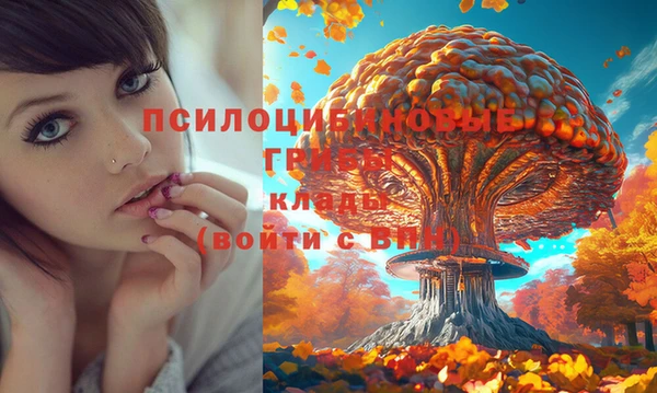 дурь Армянск