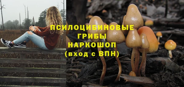 mix Арсеньев